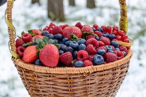 Как определить нитраты в ягодах