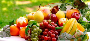 Как определить содержание нитратов в фруктах?