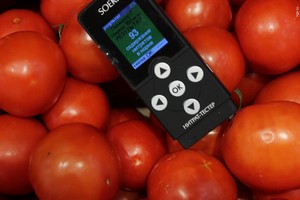 Как определить содержание нитратов в томатах?
