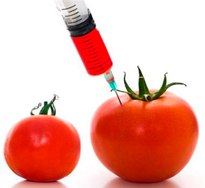Нитраты и нитрозамин в пищевых продуктах