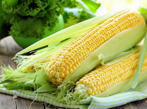 Нитраты в кукурузе