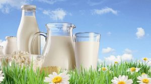 Нитраты в молочной продукции: масло, сливки, йогурт, творог