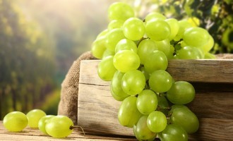 Нитраты в винограде