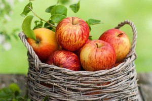 Нитраты в яблоках