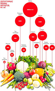 В каких овощах и фруктах много нитратов?