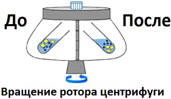 Лабораторные центрифуги - принцип работы