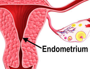 Магнитотерапия для наращивания эндометрия