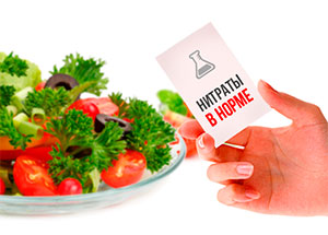 Метод определения нитратов в овощах и фруктах