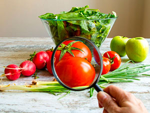 Проверка и определение пестицидов и нитратов в овощах